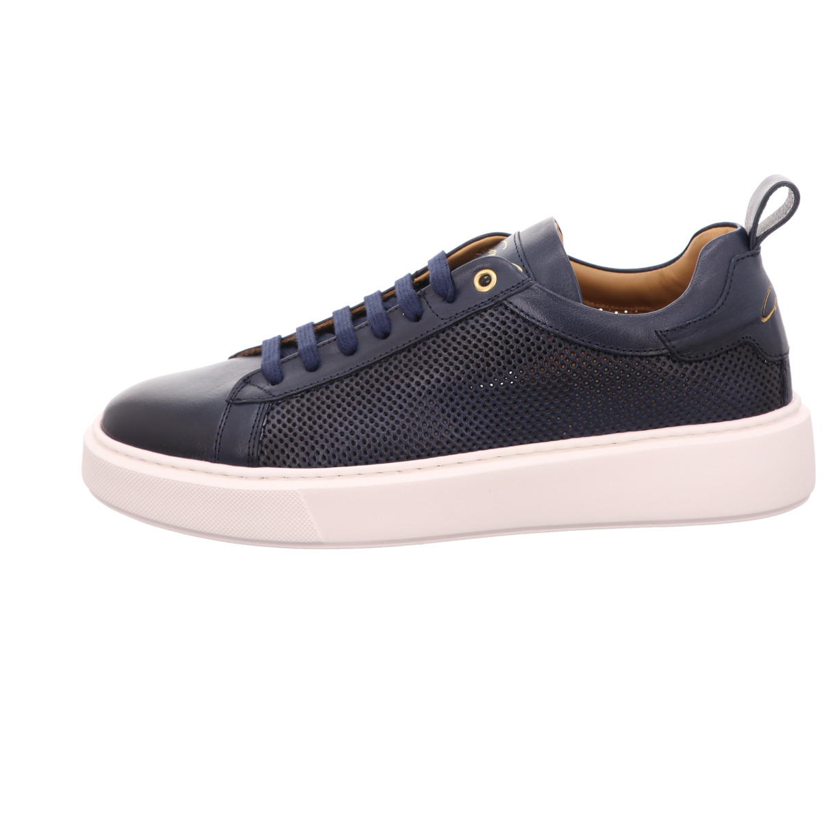 Sneaker, Corvari Blau